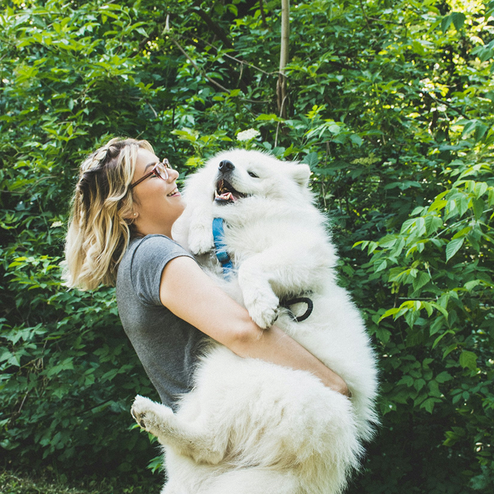 The Science-Backed Protocol to Boost Dog Health Span
